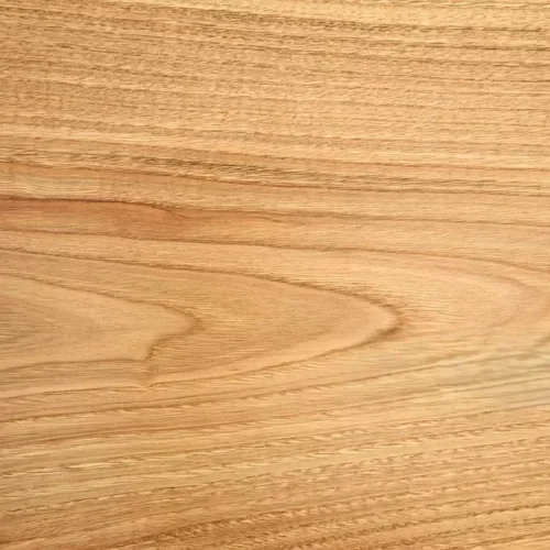 kestane KESTANE SINIFLI