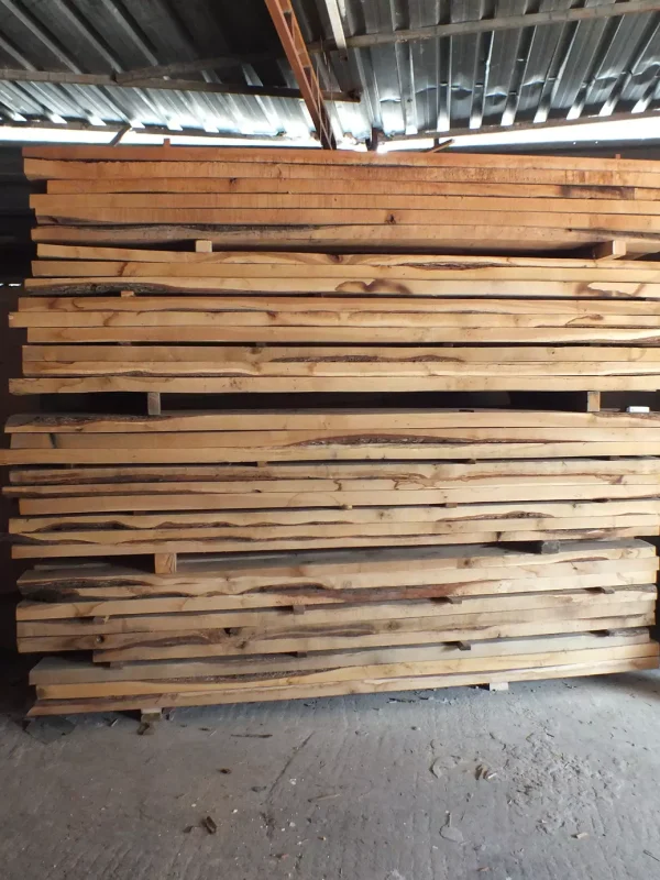 ozen mimarlık ve kereste (20)