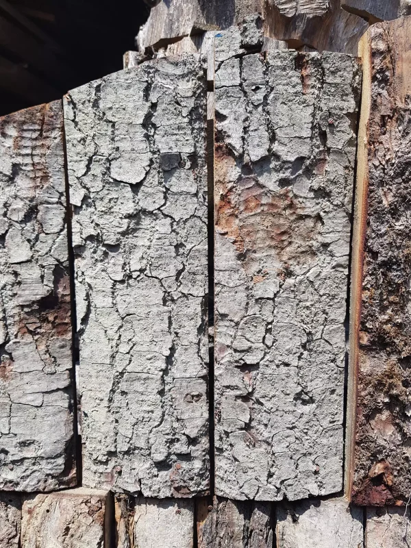 ozen mimarlık ve kereste (3)